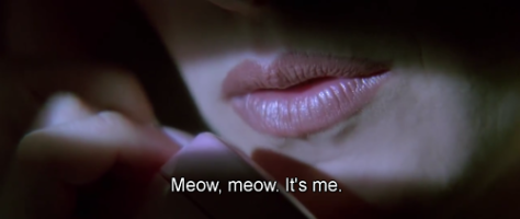 meow meow its me